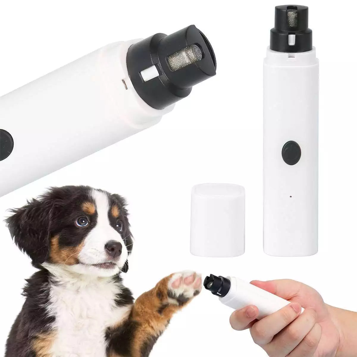 SafePaws™| Slipp klotang og frykt