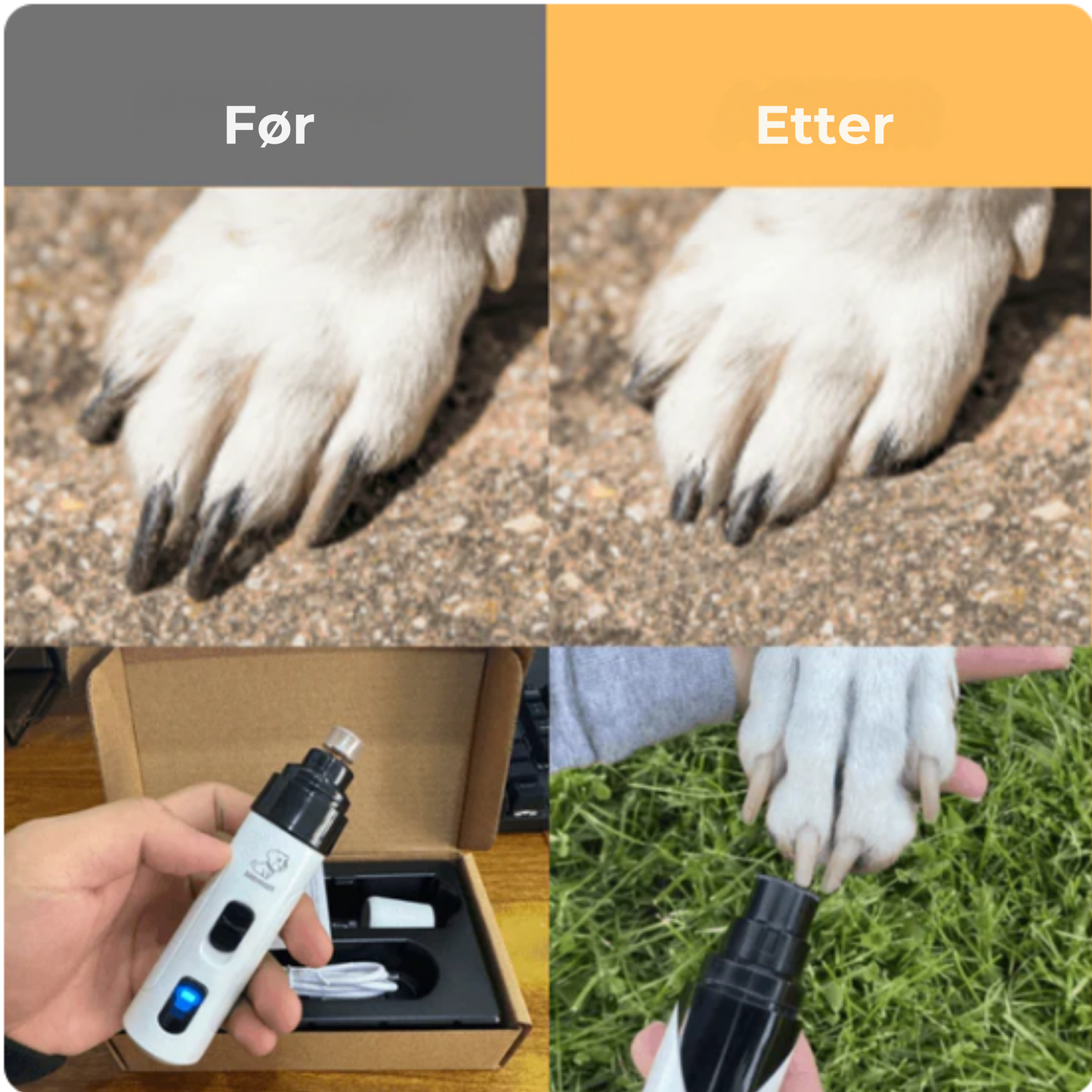 SafePaws™| Slipp klotang og frykt