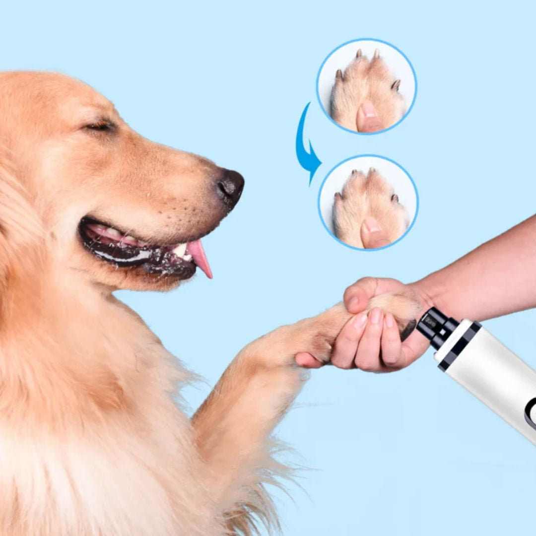 SafePaws™| Slipp klotang og frykt