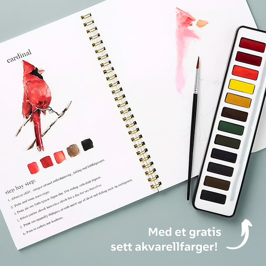 Akvarella™ | Tenn kreativiteten din med vår morsomme arbeidsbok for akvarell!